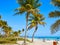 Key west florida Smathers beach palm trees US