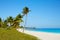 Key west florida Smathers beach palm trees US