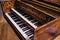 Keyboard of harpsichord (selective focus)