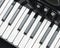 Keyboard part of black accordion in closeup