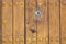 Keyhole in an old paneled wooden door; rusty