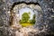 Keyhole view of nature