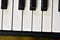 Keys of a digital piano, soft focusing, creative mood of a person improvisation and creativity.