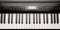 Keys of digital piano synthesizer