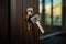 Keys on house doors represent new homes, real estate investments