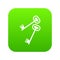 Keys icon digital green