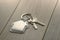 Keys with keychain - house close-up on a wooden table.