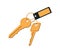 Keys in Keyring with Label Vector Illustration