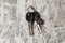 Keys to the house or apartment on a light gray concrete background with copy space, view from the top. Resale purchase concept