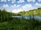 Keystone Lake in Keystone State Park in Derry, Pennsylvania in the Laurel Highlands, at dusk.  Green reeds and grasses growing in