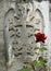 Khachkar and Red Rose, Haghpat Monastery