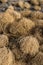 Khaki Colored Dead Tumbleweed Pile