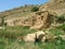 Khanas, Ancient Assyrian Ruins