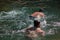 Khanpur, Pakistan - May 2019: Drowning man in a water stream