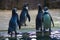 KHAO KHEOW OPEN ZOO, THAILAND - August, 2016: Show the penguins in the Khao Kheo Open Zoo, Thailand