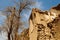 Kharanaq - Ruins of the abandoned mud brick city
