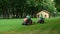 Kharkiv, Ukraine - Jun 21, 2019: two workers riding on industrial lawn mowers