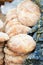 Khobz, fresh moroccan bread, Essouira