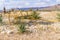 Khomas Highland landscape in Namibia