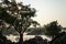 Khone Phapheng Falls at sundown with monk contemplating the mekong , Si Phan Don, Champasak Province, Laos