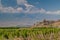 Khor Virap monastery surrounded by vineyards, Armenia. Ararat mountain in the backgroun