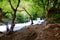 Khurmal Forrest in mountains of autonomous Kurdistan region near Iran