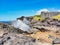 Kiama Blowhole Water Spume, NSW South Coats, Australia