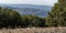 Kibbutz Sasa from Mount Adir Viewpoint in Israel