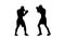 Kickboxers in black silhouette fulfill knee kick to the body