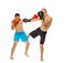 Kickboxers sparring on white