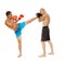 Kickboxers sparring on white