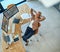 Kicking back after a productive day. a mature businesswoman taking a break at her office desk.