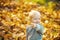Kid with autumn leaves in the beauty park. Autumn child portrait, fall foliage.