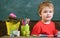 Kid boy in classroom near flower in pot and pencils, chalkboard on background, close up, copy space. Education concept