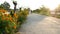 kid boy and girl in uniform walking and riding bicycle to school in morning.