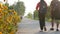 Kid boy and girl in uniform walking and riding bicycle to school in morning.