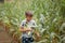 Kid boy holding and picking corn on farm in field, outdoors