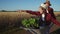 Kid children sisters play with a garden trolley car ride on wheelbarrow. little girl child in hat happy family