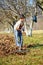 Kid cleaning in an walnut orchard