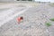 Kid climbing the hill in dried river bed in Middle Asia Kazakhstan