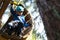 Kid climbing through wooden pipe in forest adventure park