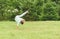 Kid doing martial art exercise training at home backyard lawn. Boy shows one hand handstand