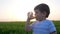 Kid drinks water from glass on sunset, small boy at grass holds in hands glasses and drinking mineral water,