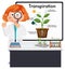 Kid explaining plant transpiration