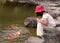 Kid feeding colorful carps