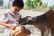 Kid feeding kangaroo at the zoo