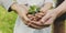 Kid Gardening Greenery Growing Leisure