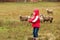 Kid girl shepherdess happy with flock of sheep