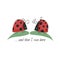 Kid graphic in doodle style with mom and dad ladybugs and phrase ...and then i was born, vector illustration for kids