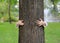 Kid hands embracing nature. Child hug a tree in the park